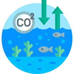 Perlengkapan CO2