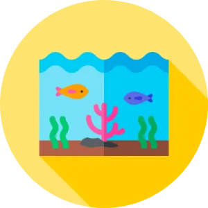 Kebutuhan Aquarium